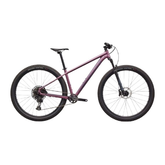 Violeta